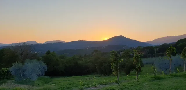 Colle delle 100 Bottiglie