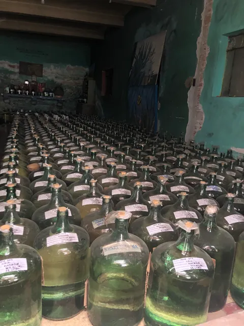 Mezcal Educational Excursions