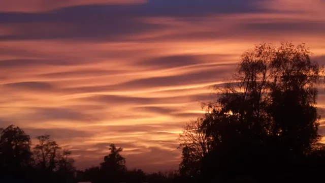 Parco Agricolo Sud Milano - Uffici