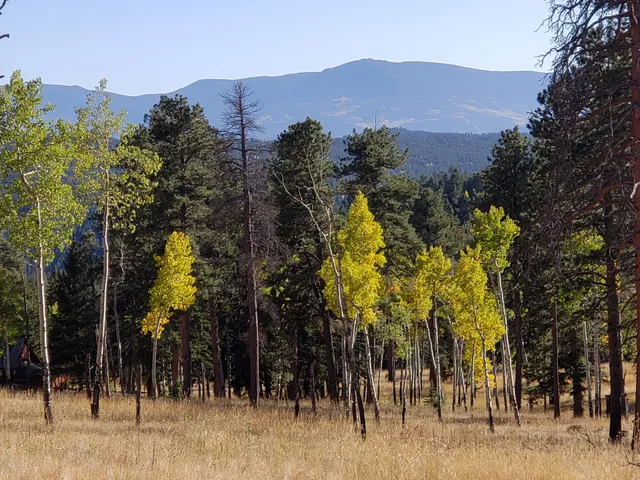 Staunton State Park - Meadow Parking Lot