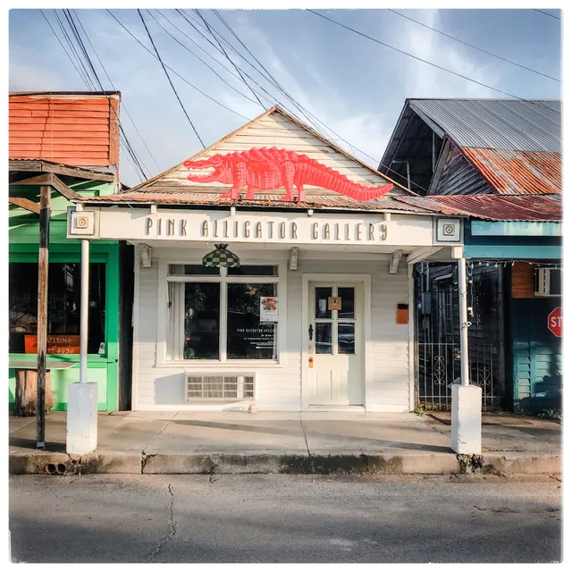 Pink Alligator Gallery