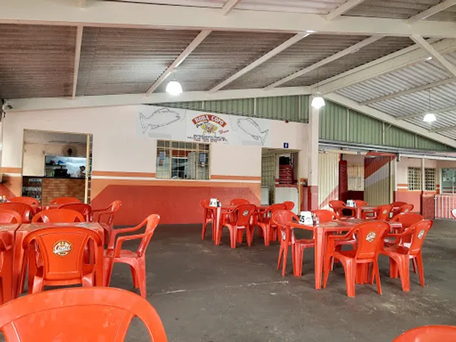 Roda Copo Peixe Frito