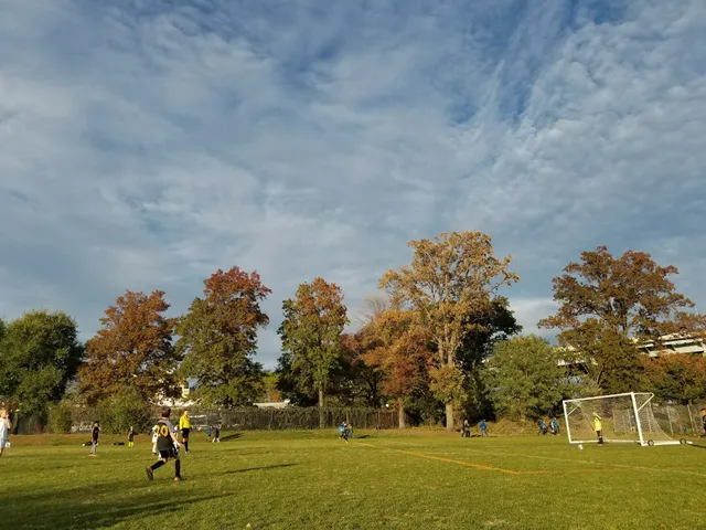 Randall’s Island Athletic Field #80
