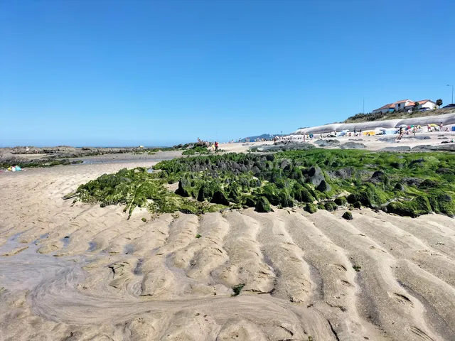 Amorosa Beach - Don Flôres