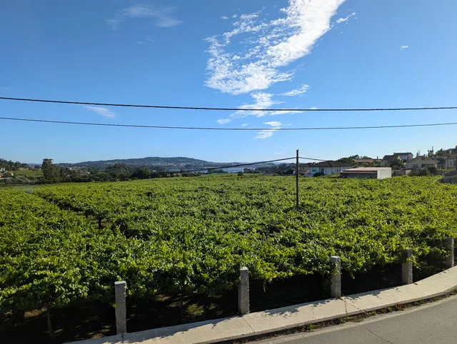 Apartamentos o castro