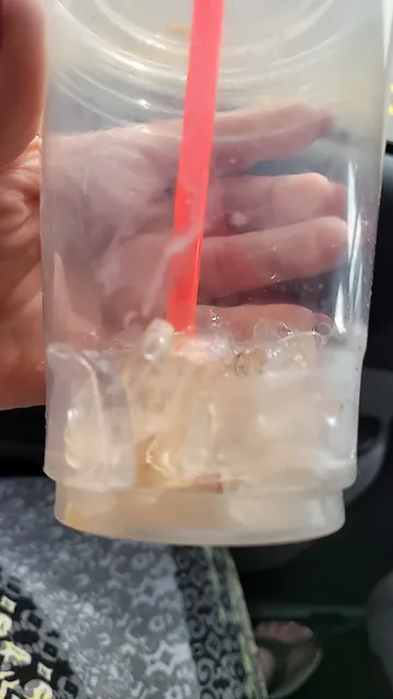 Daily Brew - Drive Thru