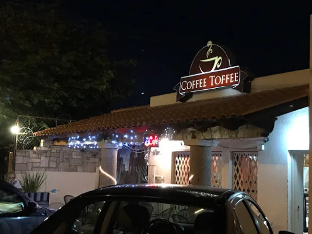 Coffee Toffee Chihuahua