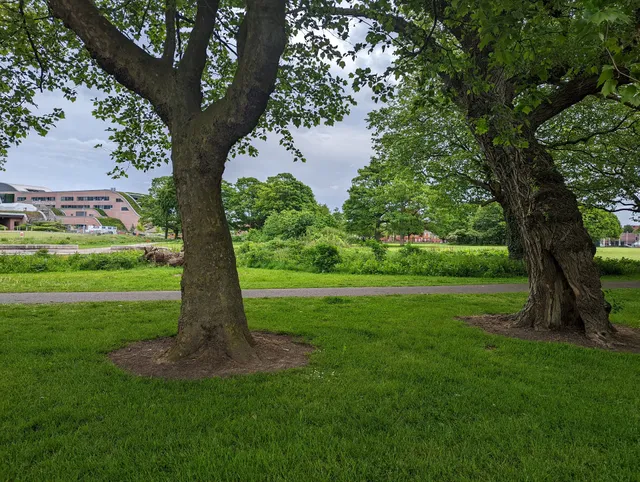 Springfield Park - East Prescot Road