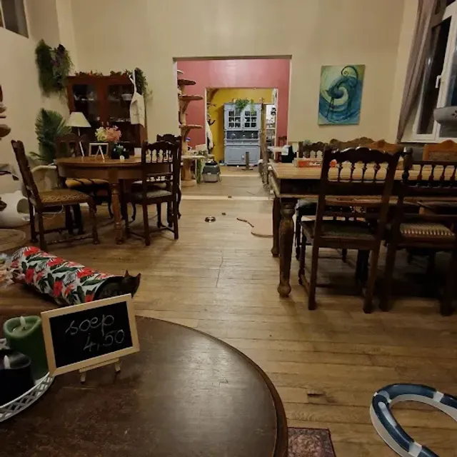 Kat op schoot Cat Adoption Café