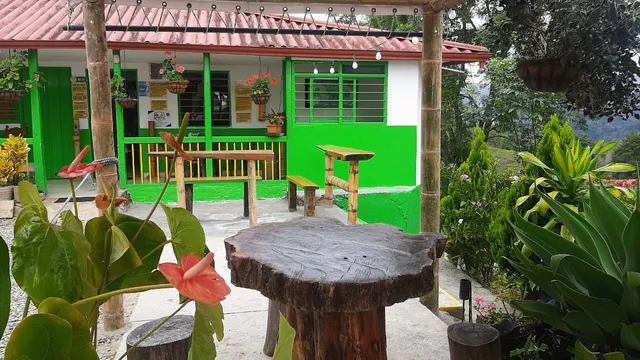 Hostal y Camping Girasoles