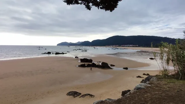 Apartamentos Turísticos Salceda