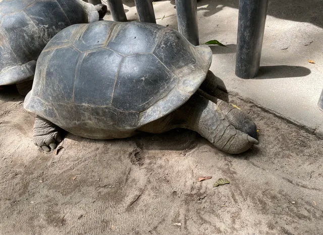 National Botanical Garden