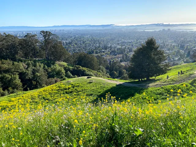 Clark Kerr Fire Trail