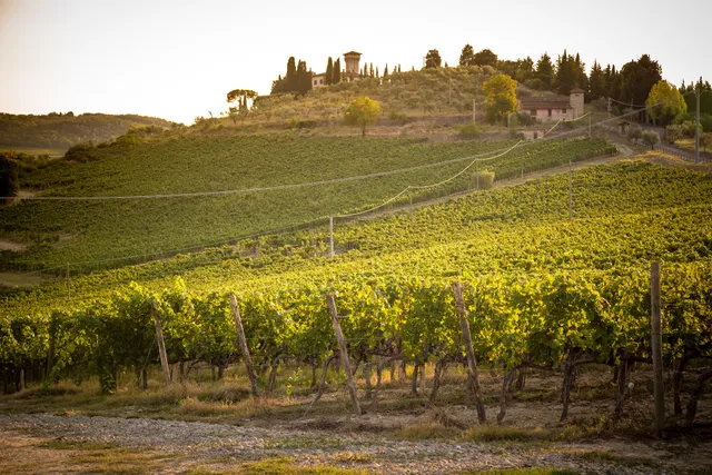 Castello Vicchiomaggio Direct Sales