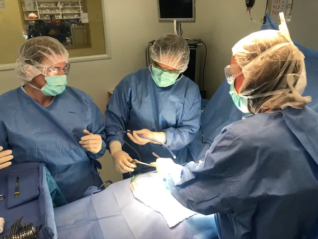 Pima Medical Institute - Chula Vista