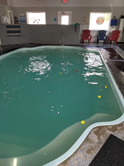 Bubble Puppy Swim & Playhouse