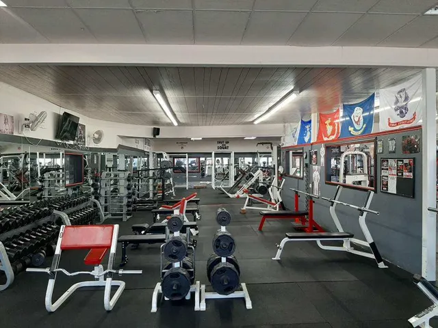 Body Works Fitness Club