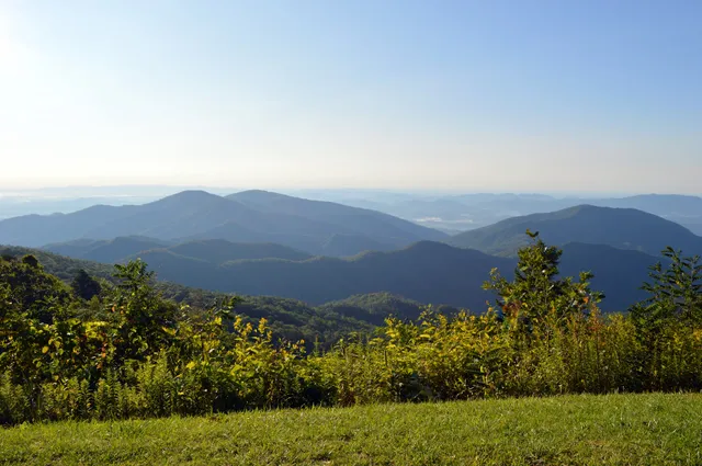 Curtis Valley Overlook