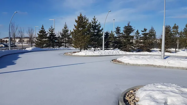 Meadows Rec Centre Rink