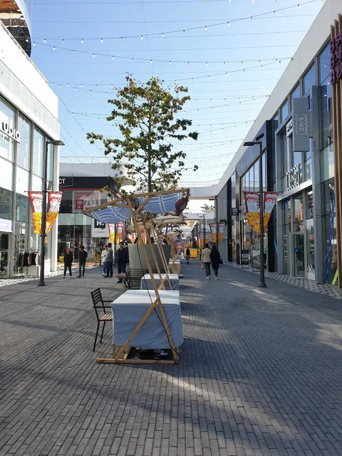photo-3