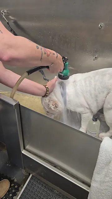 Phillips Plaza Shopping Center