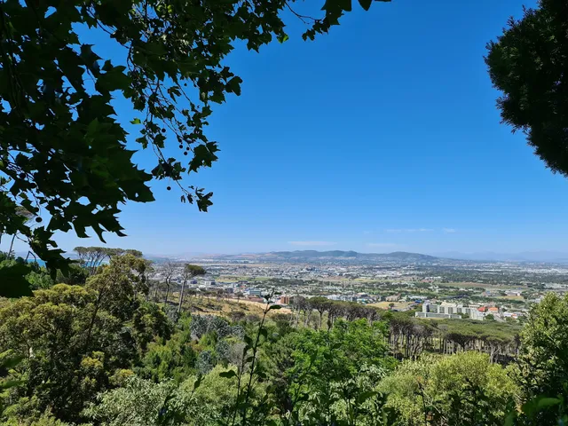 Rhodes Memorial Tea Garden
