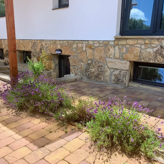 Red Travel Apartment