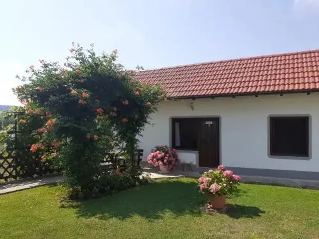 Apartments Petra i Nikola