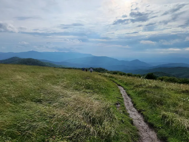 Max Patch