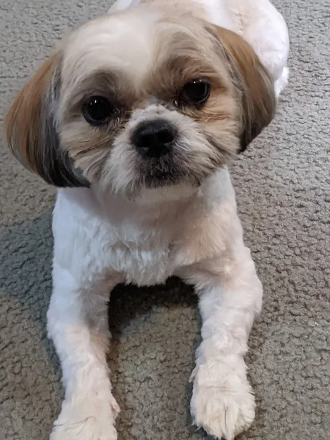 Kirbyville Veterinary Clinic