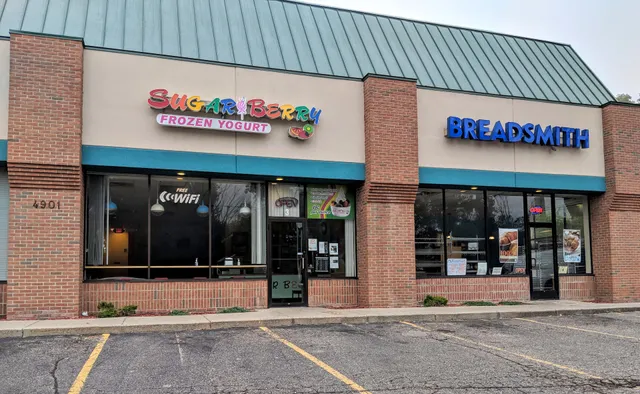 Sugar Berry Frozen Yogurt