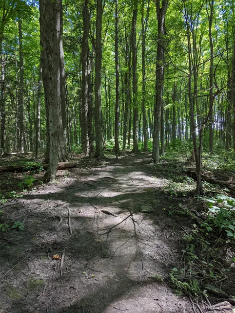 Peggy's Wood Nature Preserve