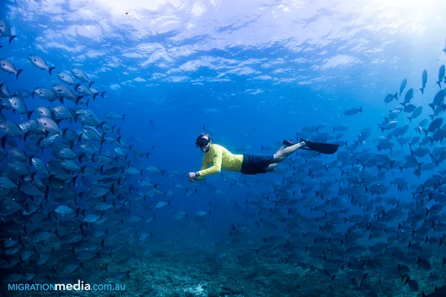 Ningaloo Reef Dive & Snorkel