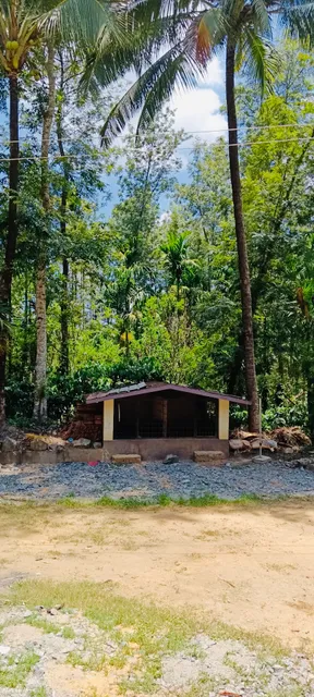 Birds Valley Estate stay