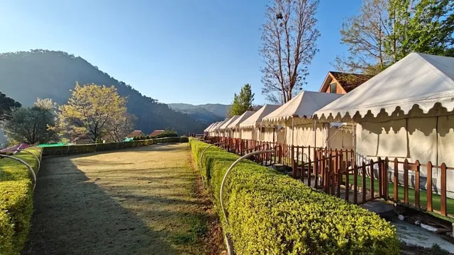 Niyama Jungle Resort, Chail Hills