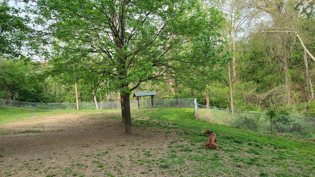 Stanley's Spot Dog Park