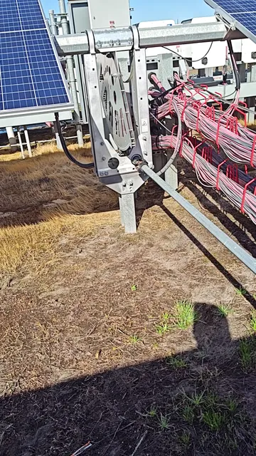 Wine Group/Almaden Cellars