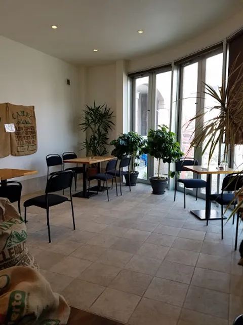 徳島ラテ デ フレッソ