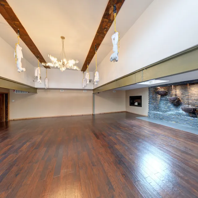 Amrita Yoga and Wellness