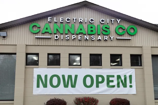 Electric City Cannabis Co - Weed Delivery & Dispensary