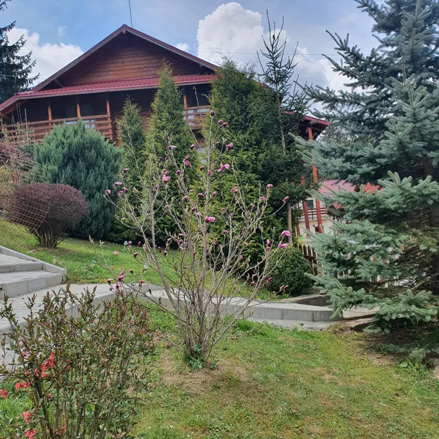 Guesthouse Inn Wolves