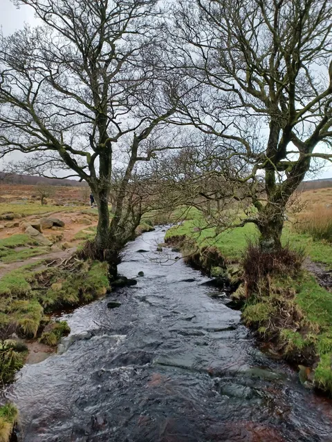 Longshaw Estate