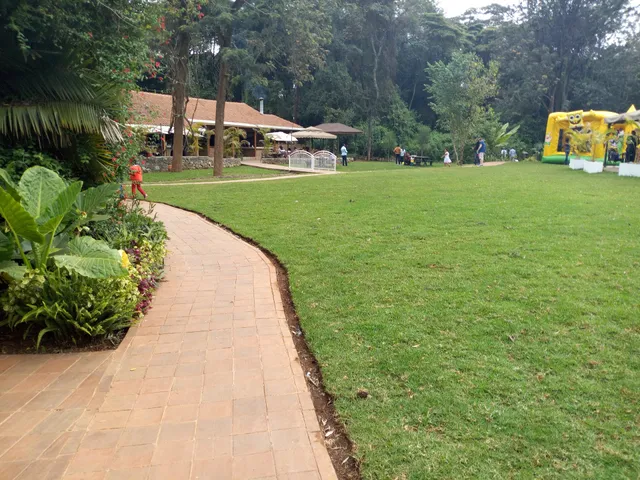 African Wildlife Foundation