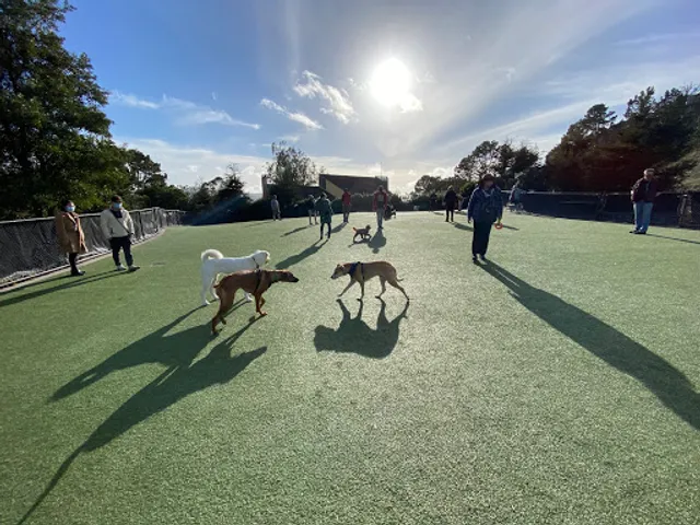 Walter Haas Dog Play Area