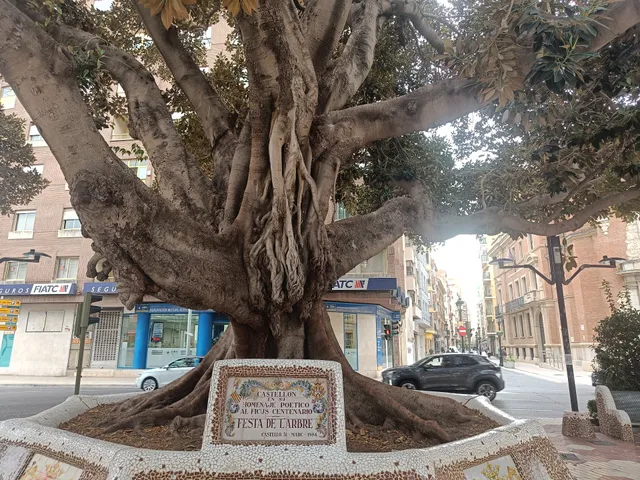 Apartamento Las Minvas Centro