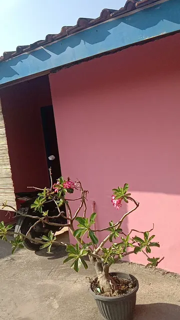 Penginapan Langgeng Laut 1