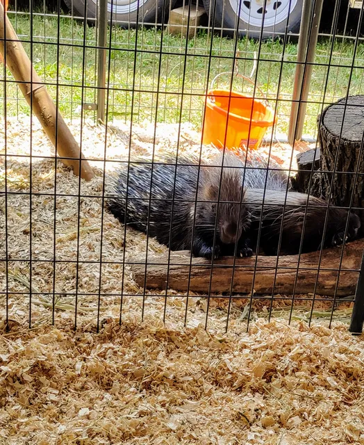 Shelby County Fairgrounds