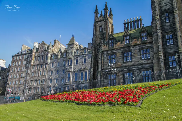 New College, The University of Edinburgh