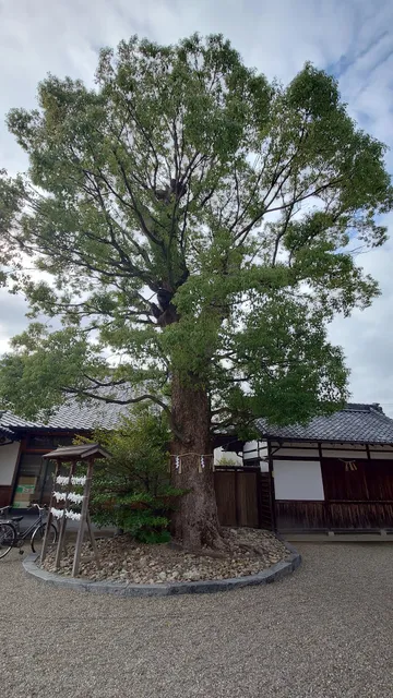 photo-1
