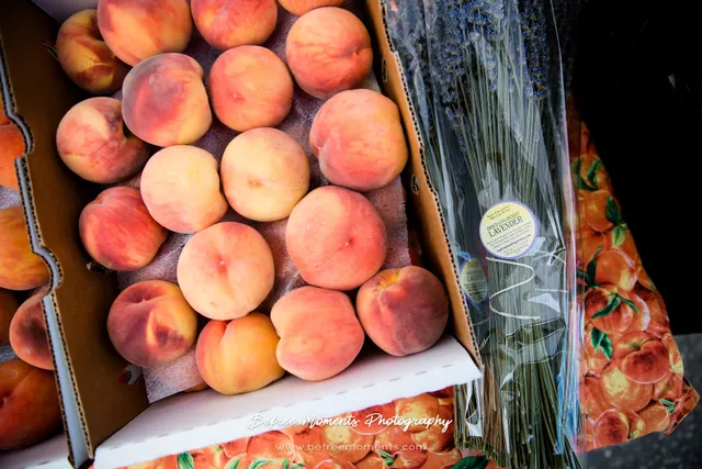 Lafayette Chamber of Commerce